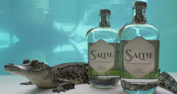 And yes, a wee taste of Saltie Gin!