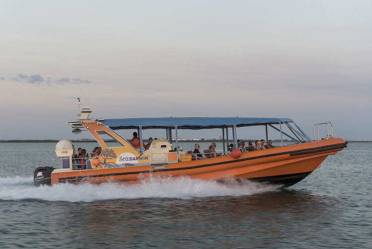 Sea Darwin Cruising 2019